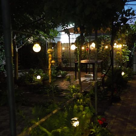 Casa De Vacanta Rodica سولينا المظهر الخارجي الصورة